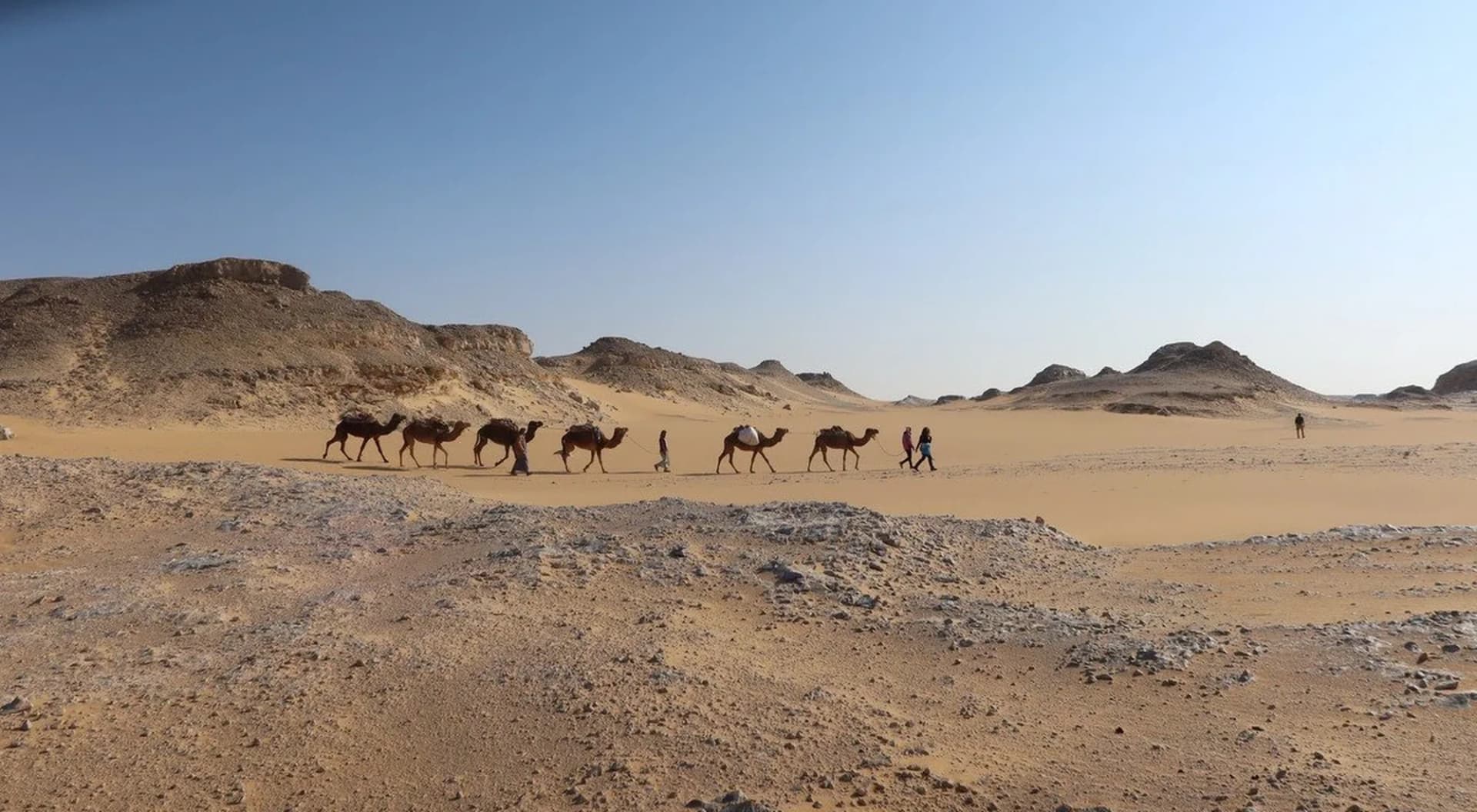 Best Time to Visit Egypt: Month-by-Month Guide for First-Time Visitors
