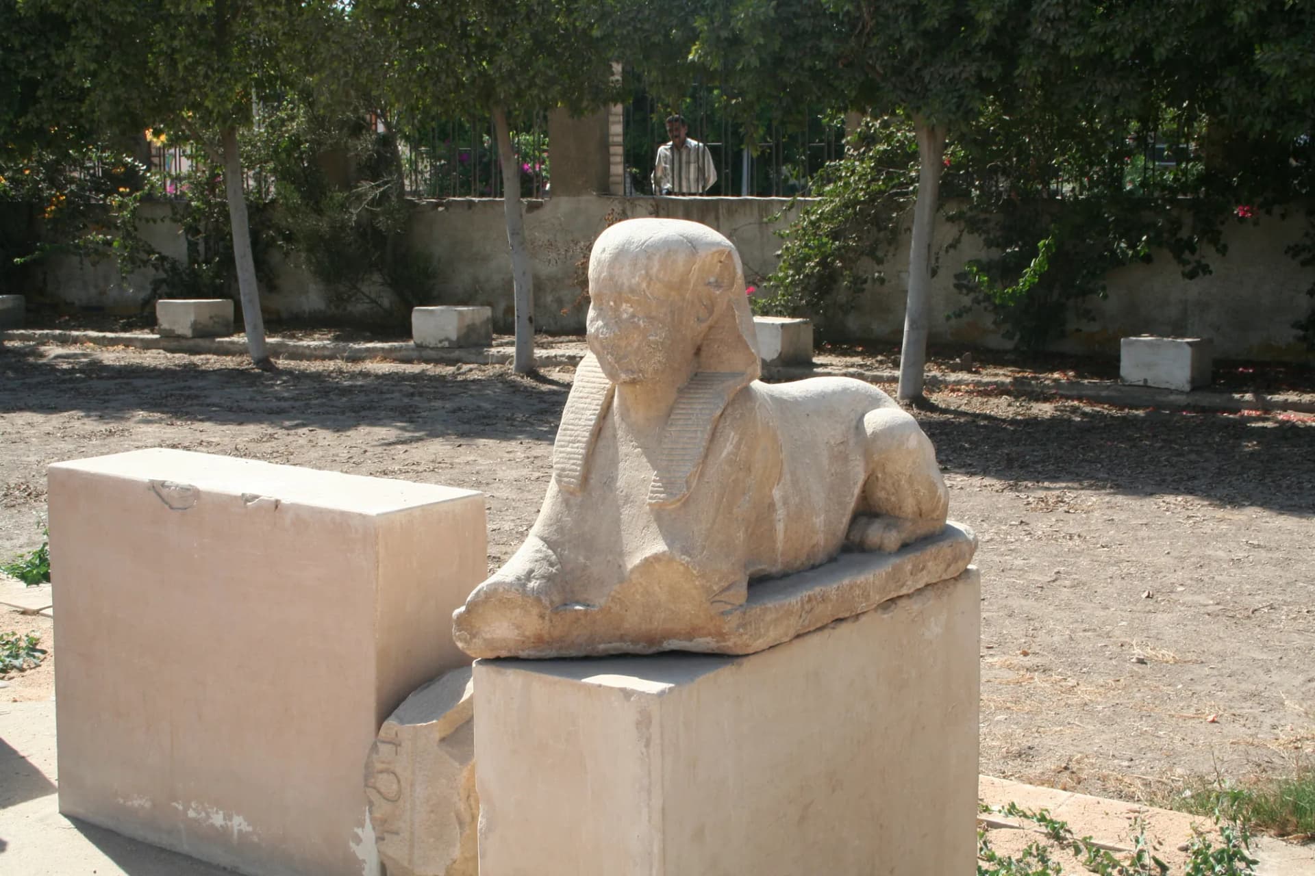 A sphinx statue on a plinth among the ruins at Bubastis (Tell Basta)